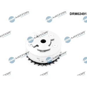 Dr.Motor Automotive DRM02491 - ajustador de árbol de levas Dr.Motor Automotive DRM02491 - ajustador de árbol de levas