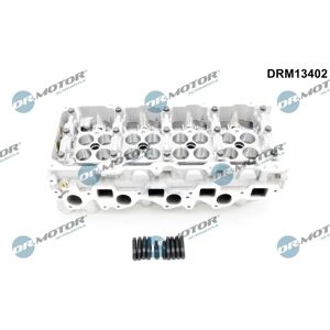 Dr.Motor Automotive DRM13402 - Cabeza de cilindro de motor Dr.Motor Automotive DRM13402 - Cabeza de cilindro de motor