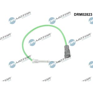 Ford DRM02823 Sensor de Temperatura de Gases de Escape - Sensor de Temperatura de Escape Ford DRM02823 Sensor de Temperatura de Gases de Escape - Sensor de Temperatura de Escape