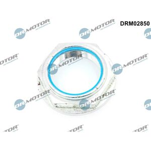 DR.MOTOR AUTOMOTIVE DRM02850 - Radlagerschraube für Ford Transit Mk6 DR.MOTOR AUTOMOTIVE DRM02850 - Radlagerschraube für Ford Transit Mk6