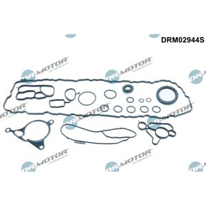 Dr.Motor Automotive DRM02944S - Kit de sellos de motor Dr.Motor Automotive DRM02944S - Kit de sellos de motor
