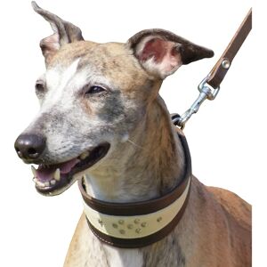 Dingo Leren Halsband voor Honden - Soft Collectie - 49 cm Dingo Leren Halsband voor Honden - Soft Collectie - 49 cm