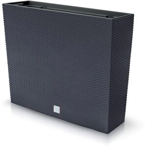 Prosperplast Rato Case Flower Box - Flower Box Prosperplast Rato Case Flower Box - Flower Box