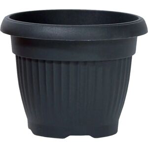 Prosperplast Maceta Terra 48L - Maceta Resistente a la Intemperie Prosperplast Maceta Terra 48L - Maceta Resistente a la Intemperie
