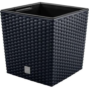 Pot de fleurs Prosperplast Rato Low - Résistant aux intempéries, Look moderne en rotin Pot de fleurs Prosperplast Rato Low - Résistant aux intempéries, Look moderne en rotin