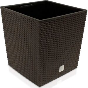 PROSPERPLAST Rato Low Plant Pot - Weatherproof, Modern Rattan Look PROSPERPLAST Rato Low Plant Pot - Weatherproof, Modern Rattan Look