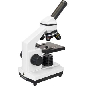 Microscopio Levenhuk Rainbow 2L PLUS - 64-640x Microscopio Levenhuk Rainbow 2L PLUS - 64-640x