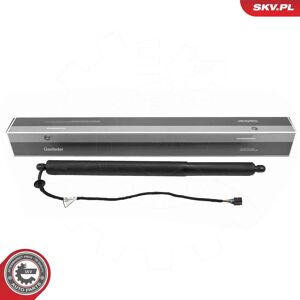 ESEN SKV 52SKV281 Hintere Haube Elektromotor - Electric Motor ESEN SKV 52SKV281 Hintere Haube Elektromotor - Electric Motor