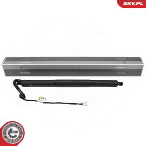 ESEN SKV Capó trasero - Motor eléctrico ESEN SKV Capó trasero - Motor eléctrico