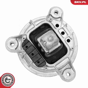 Motor OEM BMW ESEN SKV 75SKV326 Motor OEM BMW ESEN SKV 75SKV326