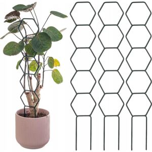 Kadax Metal Plant Support Set of 3 for Flowers & Climbing Plants Kadax Metal Plant Support Set of 3 for Flowers & Climbing Plants