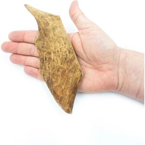 4Dogs Bois de cerf - Grand - Morsure naturelle pour chiens - Durable - 15cm - Publicité 4Dogs Bois de cerf - Grand - Morsure naturelle pour chiens - Durable - 15cm - Publicité