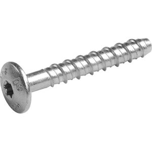 Ancrage en béton Rawl 6x50mm - Acier haute résistance, Zingué, Torx - Publicité Ancrage en béton Rawl 6x50mm - Acier haute résistance, Zingué, Torx - Publicité