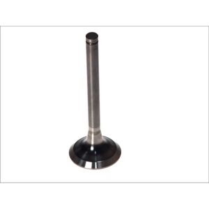 Valvola PARADOWSCY PMAN005 - Angolo, Stelo Cromato, Testa in Acciaio Valvola PARADOWSCY PMAN005 - Angolo, Stelo Cromato, Testa in Acciaio