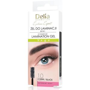 Delia Cosmetics Eyebrow Expert Czarny Żel - Wypełniacz do brwi Delia Cosmetics Eyebrow Expert Czarny Żel - Wypełniacz do brwi