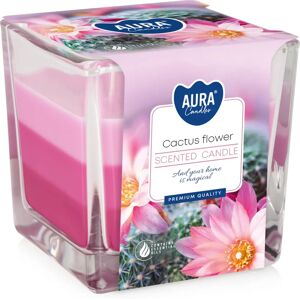 Arco Rainbow Jar Cactus Flower - Candle Arco Rainbow Jar Cactus Flower - Candle