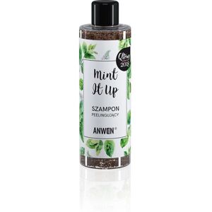 Anwen Mint It Up Exfolierande Shampoo (200ml) Anwen Mint It Up Exfolierande Shampoo (200ml)