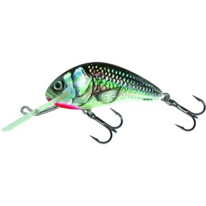 Salmo Hornet Schwimmender 4cm 3G Holografisch Grauer Shiner - Angelköder Salmo Hornet Schwimmender 4cm 3G Holografisch Grauer Shiner - Angelköder
