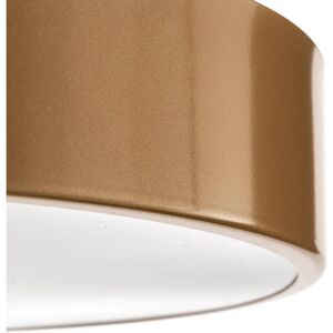 TEMAR LIGHTING Guld Loftlampe - Rund, E27, IP54 TEMAR LIGHTING Guld Loftlampe - Rund, E27, IP54