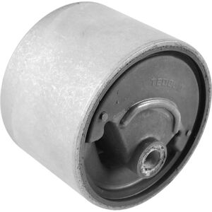Tedgum Achterste Motorophanging 00461068 - Motorsteun Tedgum Achterste Motorophanging 00461068 - Motorsteun