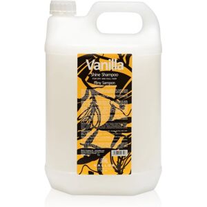 Kallos Classic Shampoo - Soins pour cheveux secs Kallos Classic Shampoo - Soins pour cheveux secs
