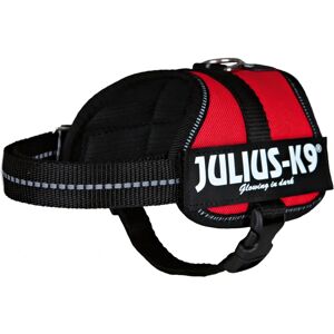 Julius-K9 Power Harness - Red - Medium/0 - Harness Julius-K9 Power Harness - Red - Medium/0 - Harness