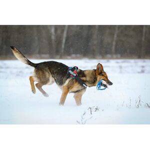 Julius K9 Franse Stoffen Bijtbal - Honden Julius K9 Franse Stoffen Bijtbal - Honden
