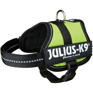 JULIUS K9 Grüner Hundegeschirr - Hundegeschirr JULIUS K9 Grüner Hundegeschirr - Hundegeschirr