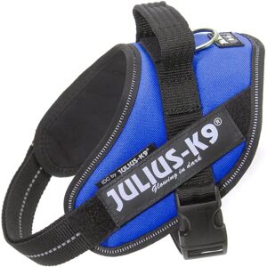 Julius-K9 IDC Powerharness in Blue - Dog Harness Julius-K9 IDC Powerharness in Blue - Dog Harness