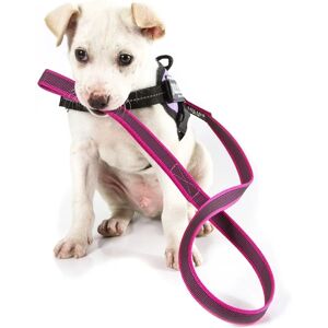 Julius-K9 K-9 Pink Handle Snood Leash - Laisse - Publicité Julius-K9 K-9 Pink Handle Snood Leash - Laisse - Publicité