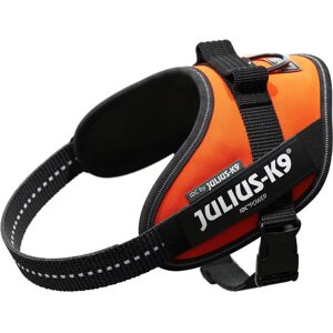 Julius-K9 Mini Orange Power Harness - Dog Gear Julius-K9 Mini Orange Power Harness - Dog Gear