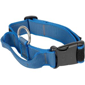 Julius-K9 Collar Gray & Blue Handle - Dog Collar Julius-K9 Collar Gray & Blue Handle - Dog Collar