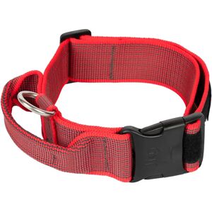 Julius K9 Collar Gray & Red Handle 49-70cm - Dog Collar Julius K9 Collar Gray & Red Handle 49-70cm - Dog Collar