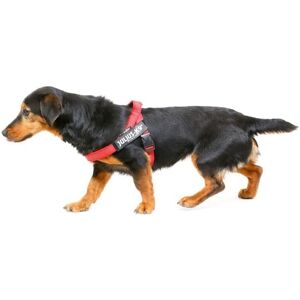 Julius-K9 IDC Harness Red Tape - Dog Harness Julius-K9 IDC Harness Red Tape - Dog Harness