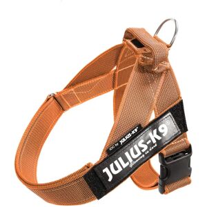 Julius K9 Orange Ergonomic Nylon Dog Harness - Dog Harness Julius K9 Orange Ergonomic Nylon Dog Harness - Dog Harness