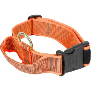 JULIUS-K9 Color & Gray Dog Collar - Adjustable 38-53cm & 49-70cm JULIUS-K9 Color & Gray Dog Collar - Adjustable 38-53cm & 49-70cm