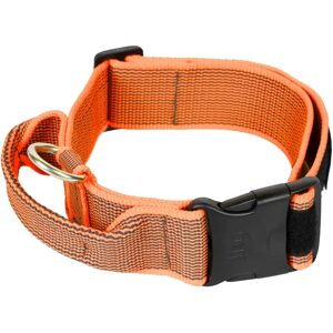 Julius-K9 Collar with Handle - Adjustable 49-70cm - Dog Accessory Julius-K9 Collar with Handle - Adjustable 49-70cm - Dog Accessory