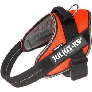 Harnais d'Été Julius-K9 Powair - Chien, Orange, Taille 0 Harnais d'Été Julius-K9 Powair - Chien, Orange, Taille 0