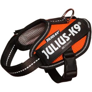 Julius-K9 Powair Summer Sling Orange - Harness Julius-K9 Powair Summer Sling Orange - Harness