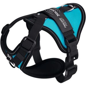 Arnés Julius-K9 Longwalk Light Agua Marina para Perro - Perro Arnés Julius-K9 Longwalk Light Agua Marina para Perro - Perro