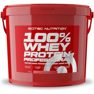 Scitec Nutrition 100% Whey Protein Strawberry 5000g - Whey Protein Powder Scitec Nutrition 100% Whey Protein Strawberry 5000g - Whey Protein Powder