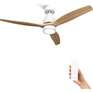 Ventilateur de plafond Brizy Bright avec lumière et télécommande - Publicité Ventilateur de plafond Brizy Bright avec lumière et télécommande - Publicité
