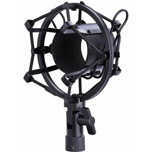 GreenZech Pink Professional Condenser Microphone - Studio Broadcasting Microphone GreenZech Pink Professional Condenser Microphone - Studio Broadcasting Microphone