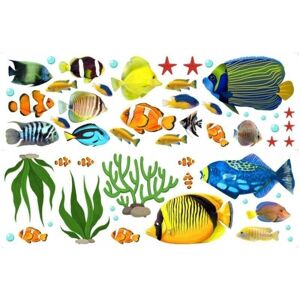 SNQ - TropicalFishSet - Tropical Fish - Wall Decals SNQ - TropicalFishSet - Tropical Fish - Wall Decals