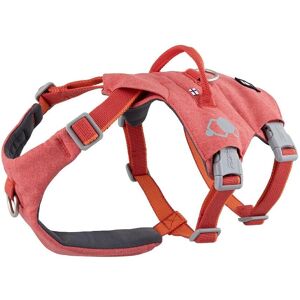 Harnais ECO Hurtta Safeguard pour chiens - Fraise - Ajustement antievasion - Publicité Harnais ECO Hurtta Safeguard pour chiens - Fraise - Ajustement antievasion - Publicité