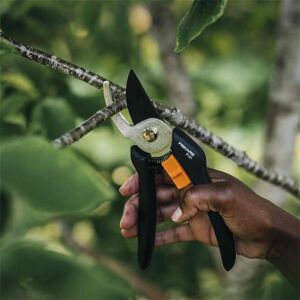 Fiskars P121 Bypass Pruning Shears - Black Fiskars P121 Bypass Pruning Shears - Black