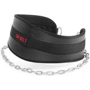 Gymstick 20 kg Treeningpalkki - Käsivarsi ja Voima Gymstick 20 kg Treeningpalkki - Käsivarsi ja Voima