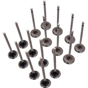 BFO Maxpeedingrods - Engine Valve Set for Renault Clio, Megane, Laguna - 16V BFO Maxpeedingrods - Engine Valve Set for Renault Clio, Megane, Laguna - 16V