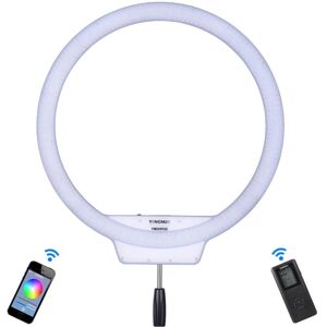 Yongnuo YN608 Anillo de luz LED - 5500K, 4864LM, Regulable Yongnuo YN608 Anillo de luz LED - 5500K, 4864LM, Regulable