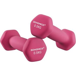 SONGMICS Pink Double Vinyl Dumbbells - Space-Saving Fitness Set SONGMICS Pink Double Vinyl Dumbbells - Space-Saving Fitness Set